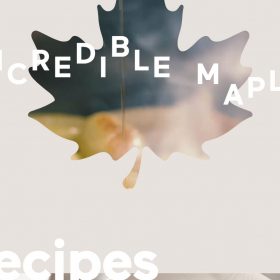 「Maple from Québec」はメープルっていろいろあるんだと分かりやすいWEBデザイン